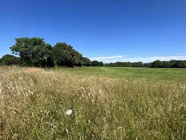 Cholet 49300 Achat / Vente terrain