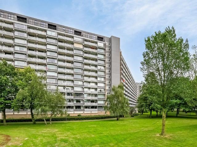 Chopinplein, 60, 3122VM, Schiedam, Zuid Holland 3122VM