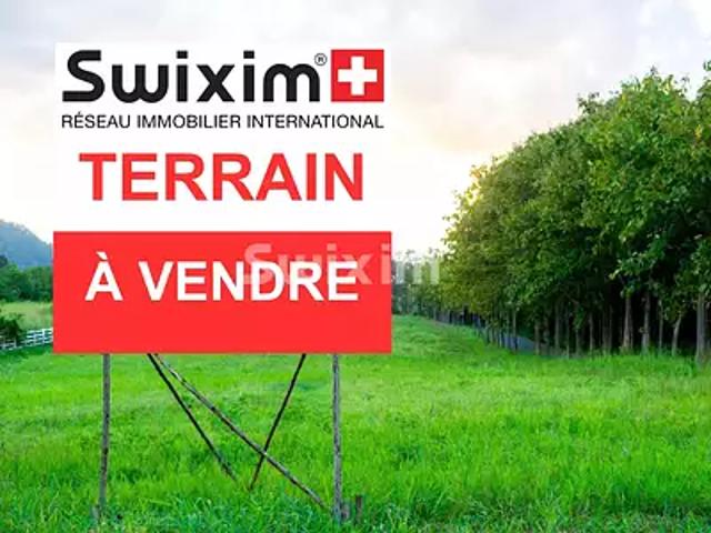 Châtenois 67730 Achat / Vente terrain