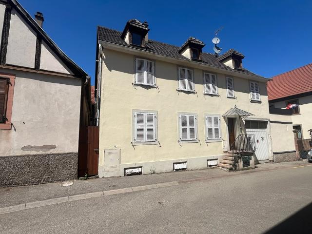Châtenois Vente Immeuble 67