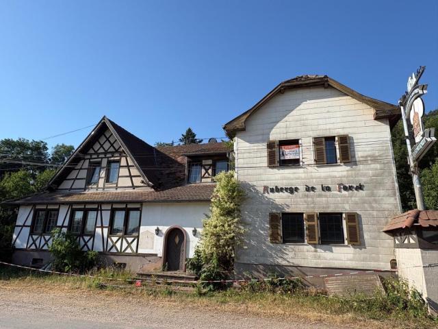 Châtenois Vente Immeuble 67