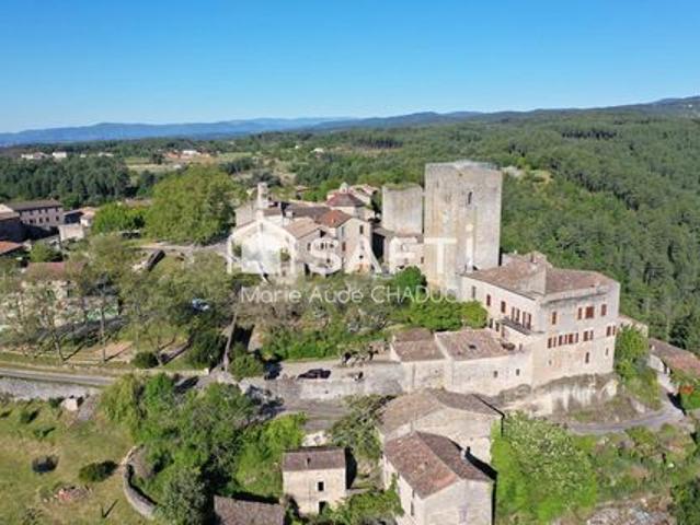 Château Médiéval XIIème 15 pièces 800m2