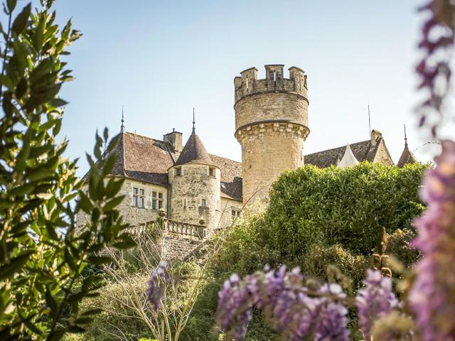 Château Avec Parc Et Étang Dans Le Jura Viticole 800m² Domblans