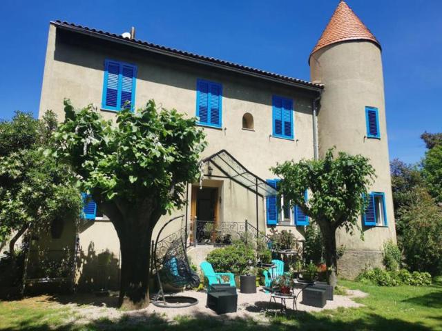 CHATEAU A VENDRE VICO