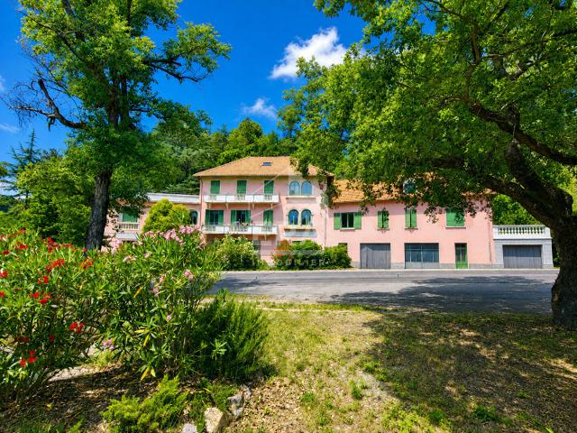 Château Arnoux Saint Auban Vente Immeuble 04