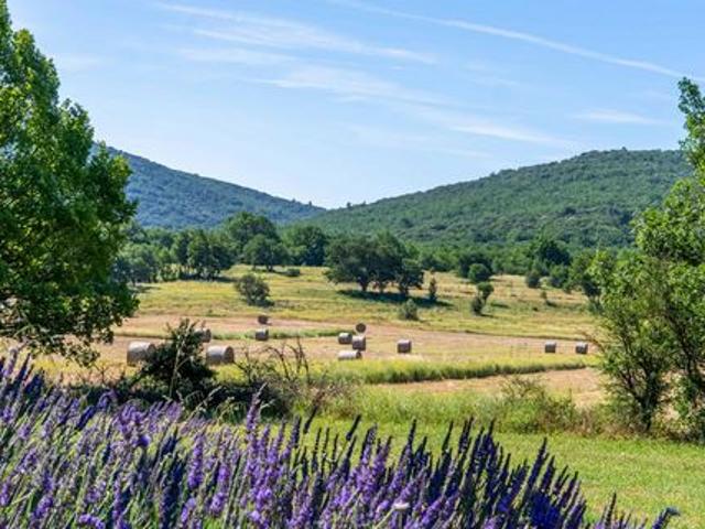 Château de prestige à la vente sur Vence