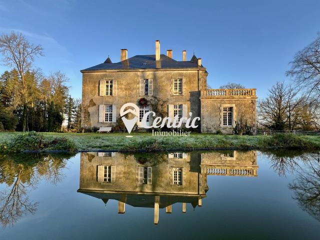 Chateau et son parc arboré 260m² Saint Mesmin