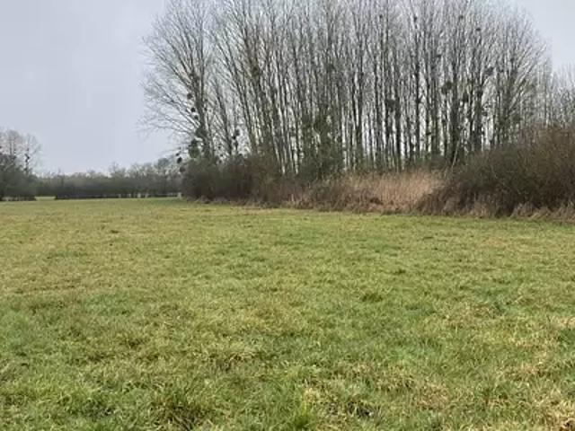 Château la Vallière 37330 Achat / Vente terrain