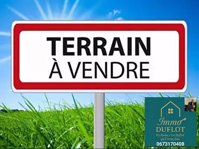 Château l'Abbaye 59230 Achat / Vente terrain