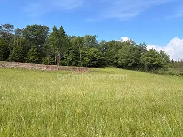 Château l'Evêque 24460 Achat / Vente terrain