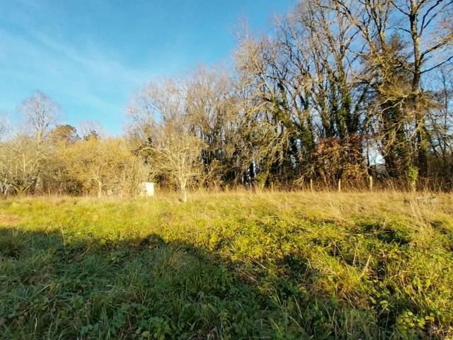 Château l'Évêque Vente Terrain 24