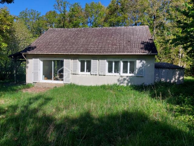 Château Renard Vente Maison 45