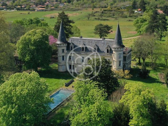 CHATEAU SUR 5 HA A 20 MIN DE BORDEAUX CENTRE