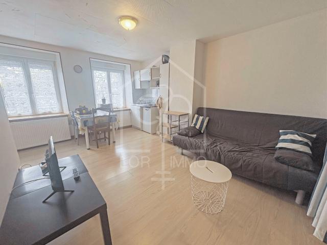 CHÂTEAU SALINS IDÉAL ÉTUDIANT GRAND STUDIO 32,39m2 MEUBLÉ TOUT CONFORT