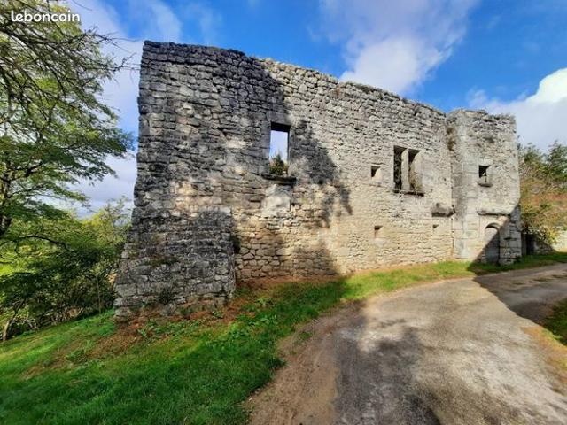 Château 140 m² Montastruc