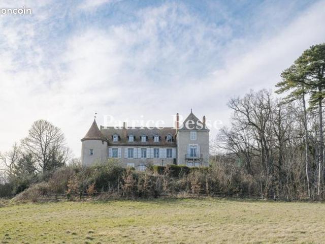 Château 15 pièces 1 240 m²