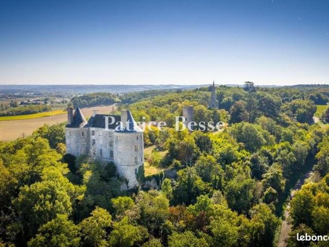 Château 16 pièces 1 010 m²
