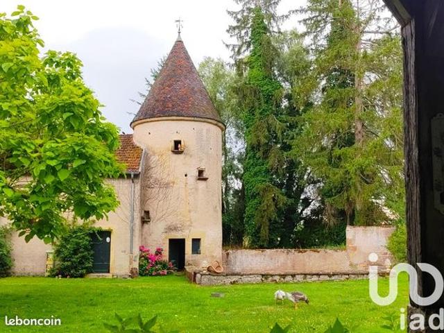 Chateau 10 pièces 295 m²