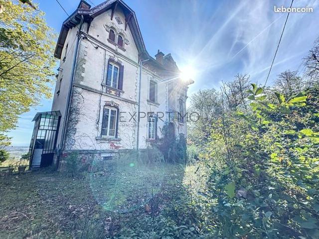 Chateau 10 pièces 331 m²