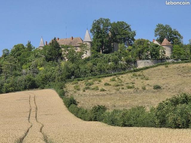 Château 10 pièces 356 m²