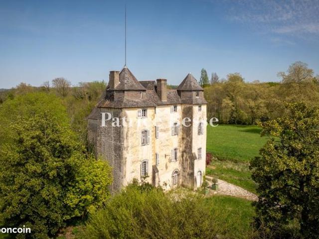 Château 11 pièces 1 000 m²