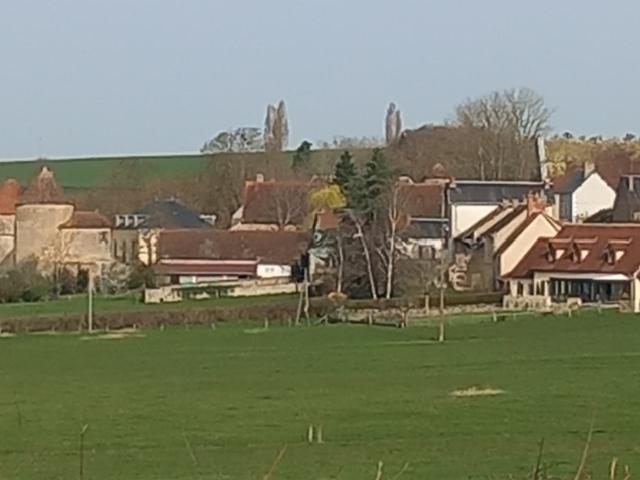 Château 11 pièces Montigny Sur Canne 58340 270m² Montigny sur Canne