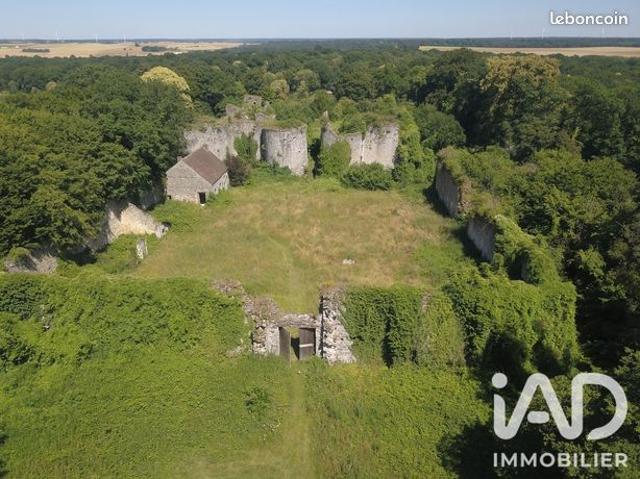 Chateau 1 pièce 50 m²