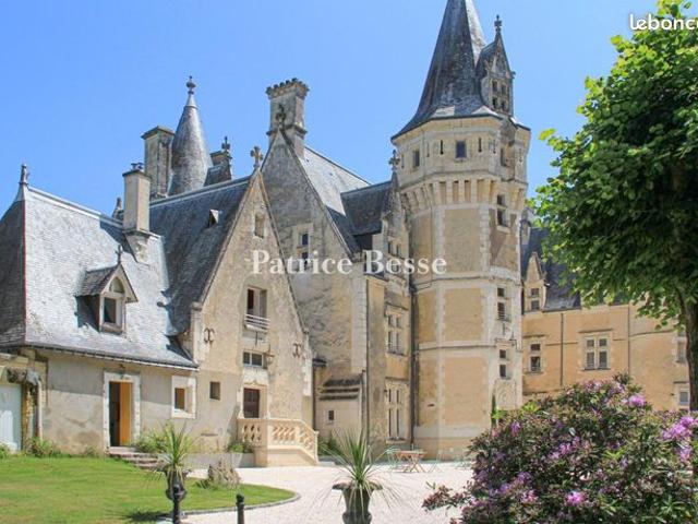 Château 20 pièces 810 m²