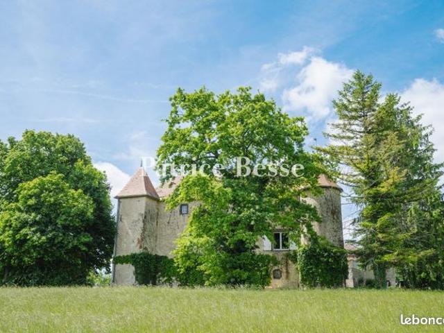 Château 6 pièces 200 m²
