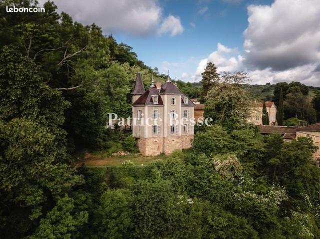 Château 7 pièces 290 m²