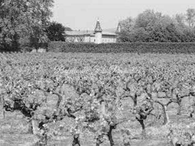 Château