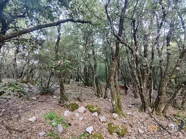 Châteaudouble 83300 Achat / Vente terrain
