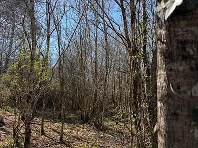 Châteauneuf 85710 Achat / Vente terrain