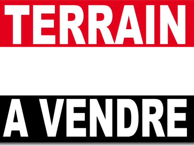 CHATEAUNEUF DE GADAGNE ENTRE LE THOR ET AVIGNON TERRAIN DE 4000 M2 DIVISIBLE ET CONSTRUCTIBLE A VENDRE EN BORD D'AXE DEPARTEMENTAL