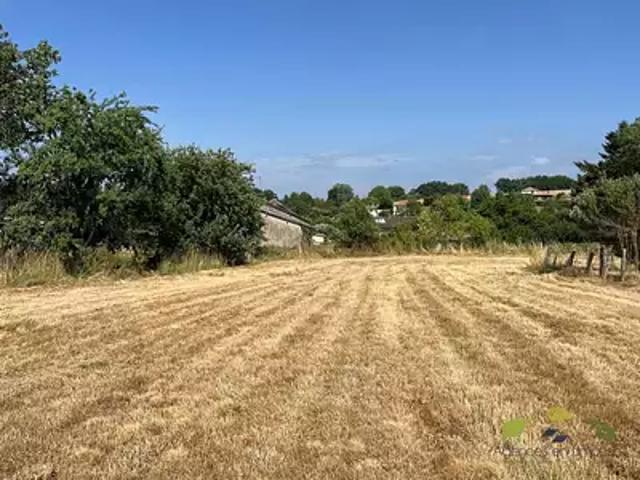 Châteauneuf la Forêt 87130 Achat / Vente terrain