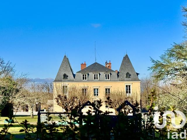 Châteauneuf la Forêt Vente Propriété/château 87