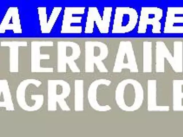 Châteauneuf sur Cher 18190 Achat / Vente terrain