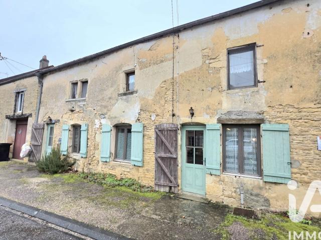 Châteauvillain Vente Maison 52