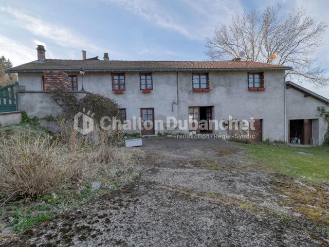 Châtel Montagne Vente Maison 03