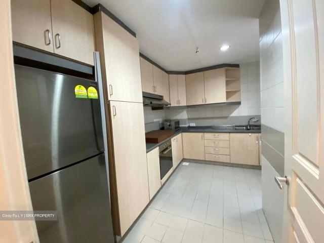 Chatelet D10, Condominium