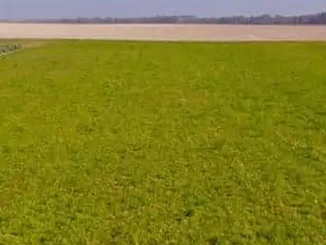 Châtellerault 86100 Programme neuf terrain neuf à vendre