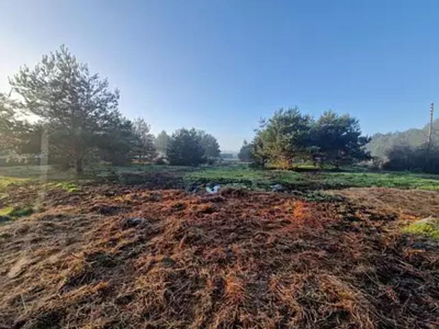 Châtillon sur Cher 41130 Achat / Vente terrain