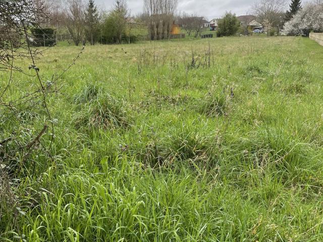 Châtillon sur Loire Vente Terrain 45