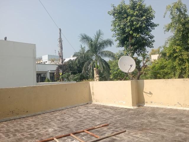 Chattarpur, South Delhi 1 Bedroom 450 Sq. Ft. Builder Floor in Chattarpur Delhi Listing ID: #10378