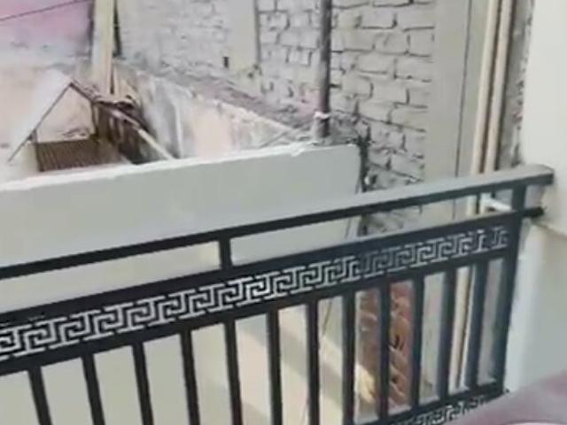 Chattarpur 1 RK 200 Sq. Ft. Builder Floor in Chattarpur Delhi Listing ID: #9424