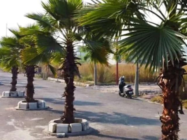 Chaudhary Property 1500 Sq.Ft. Plot in Faizabad Road Lucknow Listing ID: #9169