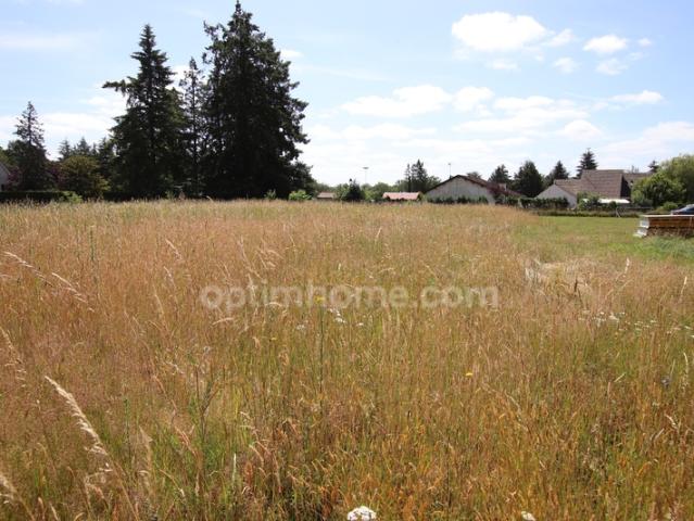 Chaumont sur Tharonne Vente Terrain 41