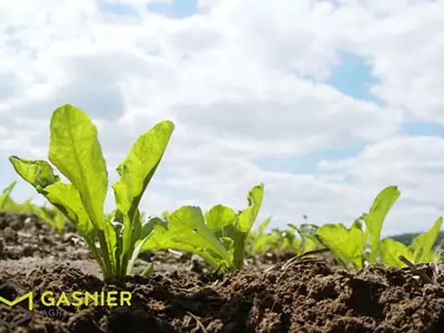 Chauny 02300 Achat / Vente divers au dernier étage