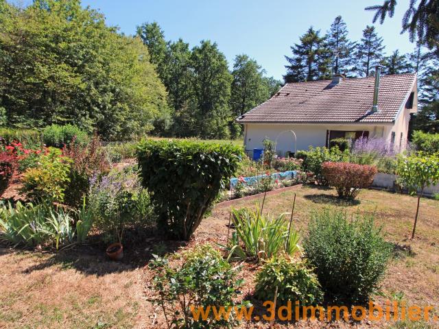 Chaussin Vente Maison 39