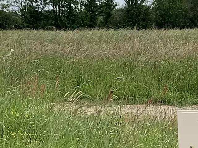Chauvé 44320 Programme neuf terrain neuf à vendre